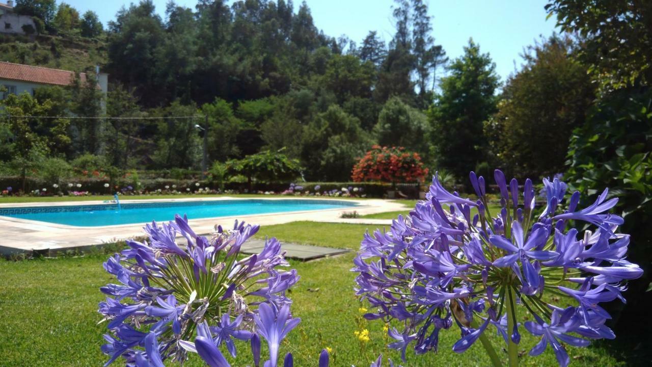 The River House - Termas Guesthouse Термаш-де-Сан-Педру-ду-Сул Экстерьер фото