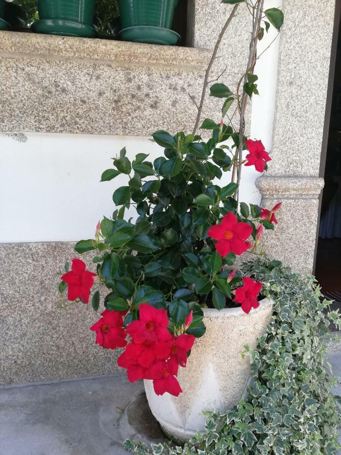 The River House - Termas Guesthouse Термаш-де-Сан-Педру-ду-Сул Экстерьер фото